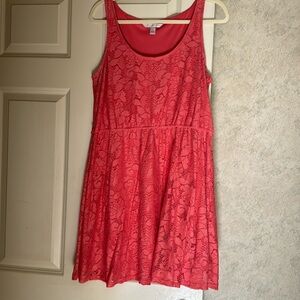 XL Lauren, Conrad, coral lace skater dress